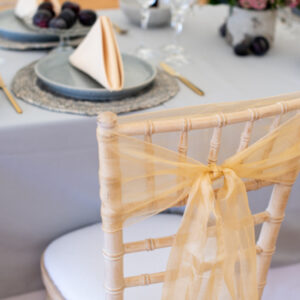 Chair Covers For Sashes